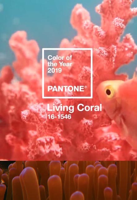 Living Coral AD 2019 – kolor koloru koralowego